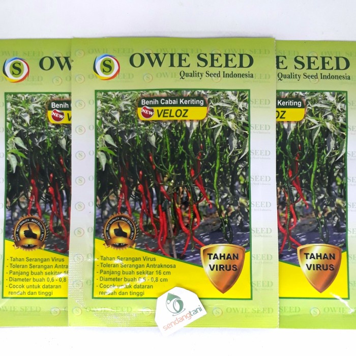 Benih Bibit Cabe Cabai Keriting VELOZ Tahan Virus 10 gr