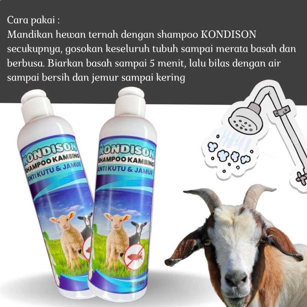 Shampo Sampo Anti kutu Jamur Tungau Gurem Pada Sapi Dan Kambing kerbau Domba FEZONE