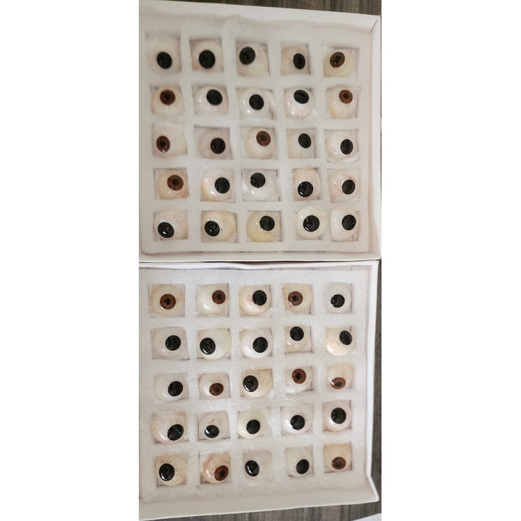 [ORI] Mata Palsu Buatan Artificial Prosthetic Eye