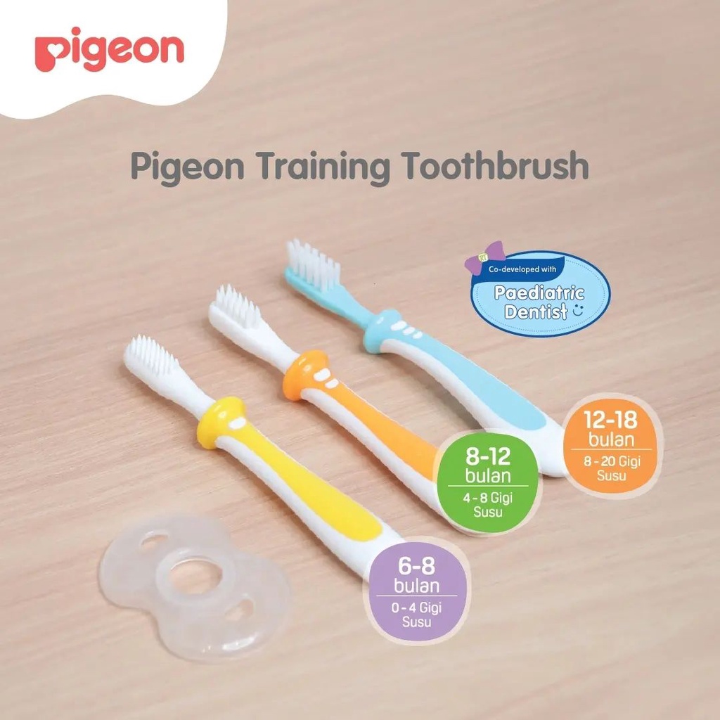 Pigeon training toothbrush lesson 1 lesson 2 lesson 3 lesson 123 sikat gigi