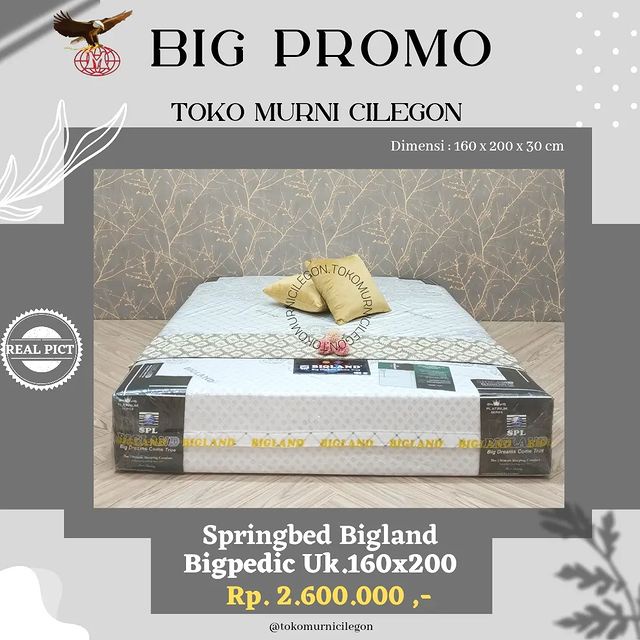 Springbed Bigland Bigpedic 160x200 (free ongkir cilegon serang kota)