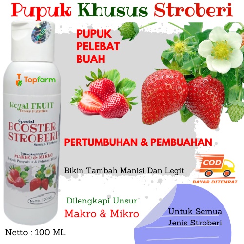Pupuk Stroberi Biar Berbuah / Pupuk Pelebat Buah Stroberi / Pupuk Buat Tanaman Stroberi / Pupuk Buah