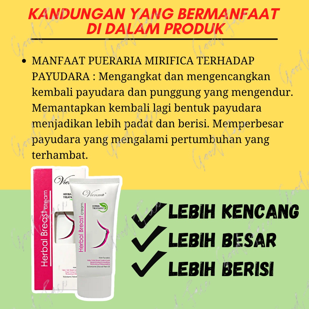 PEMBESAR PAYUDARA - CREAM VIENNA HERBAL BREAST ORIGINAL - PENGENCANG PAYUDARA - PAYUDARA MONTOK