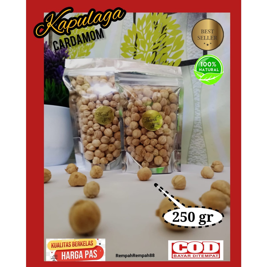 

Kapulaga Alami 250gr Bersih Putih Cardamom