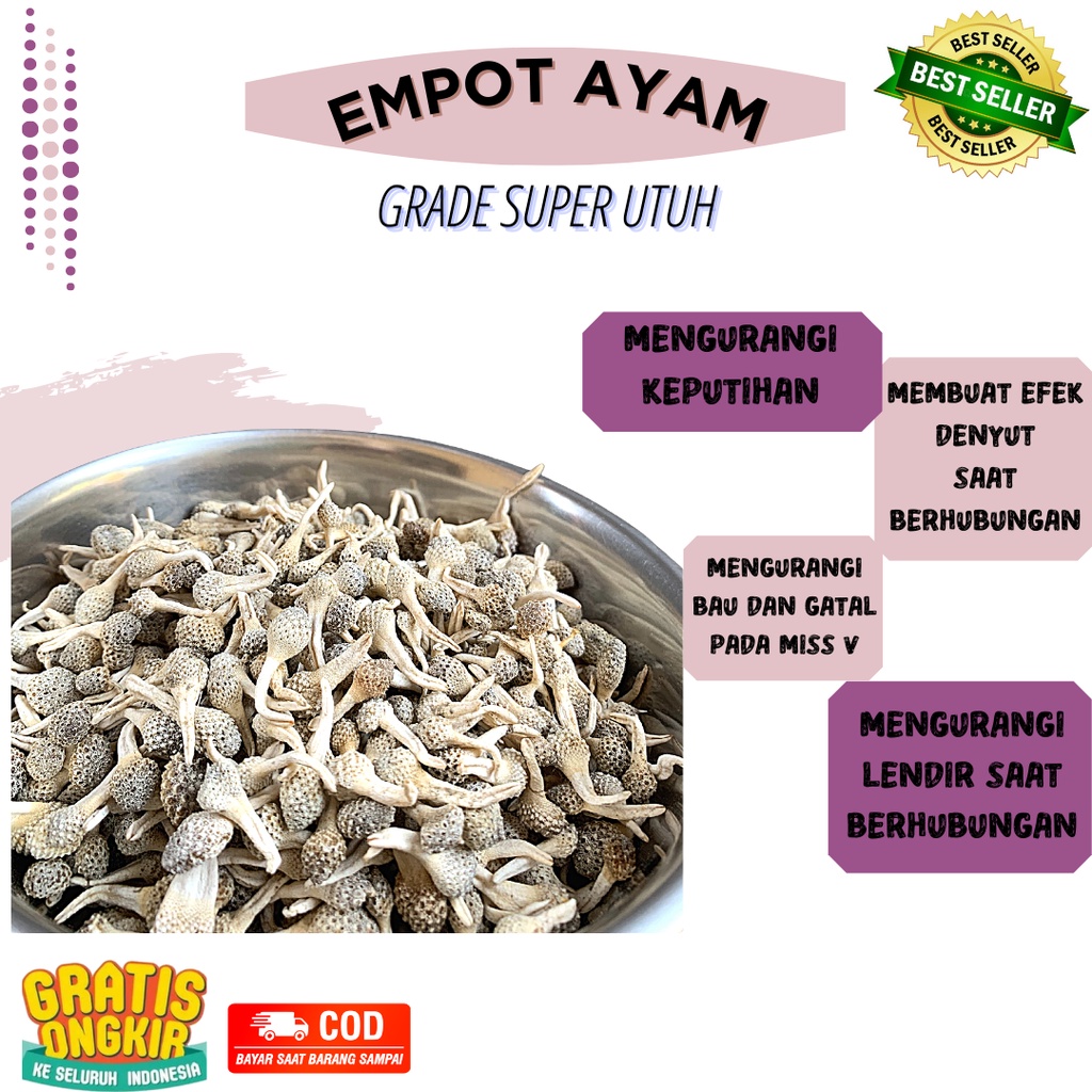 EMPOT AYAM ORI / OBAT KEWANITAAN / PERAPAT VAGINA
