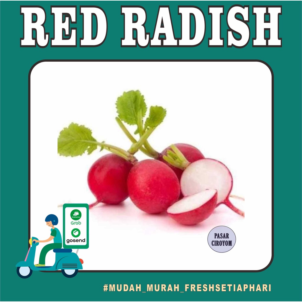 

PROMO RED RADISH / LOBAK MERAH FRESH MURAH BANDUNG / SAYUR ONLINE