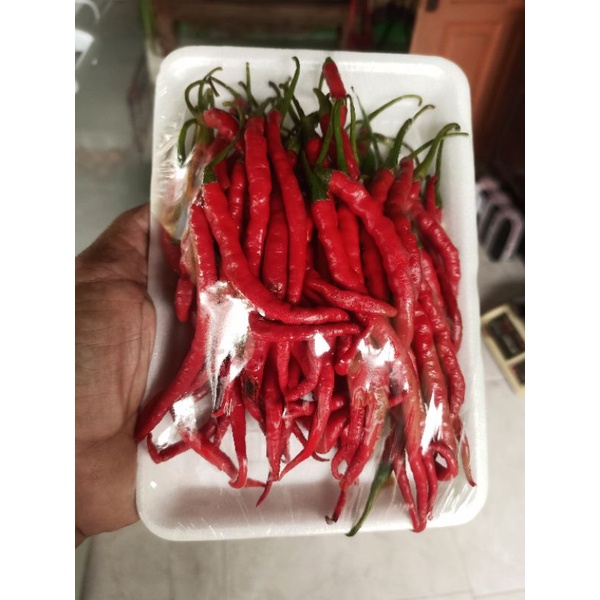 

Lombok Cabe Cabai Keriting Fresh