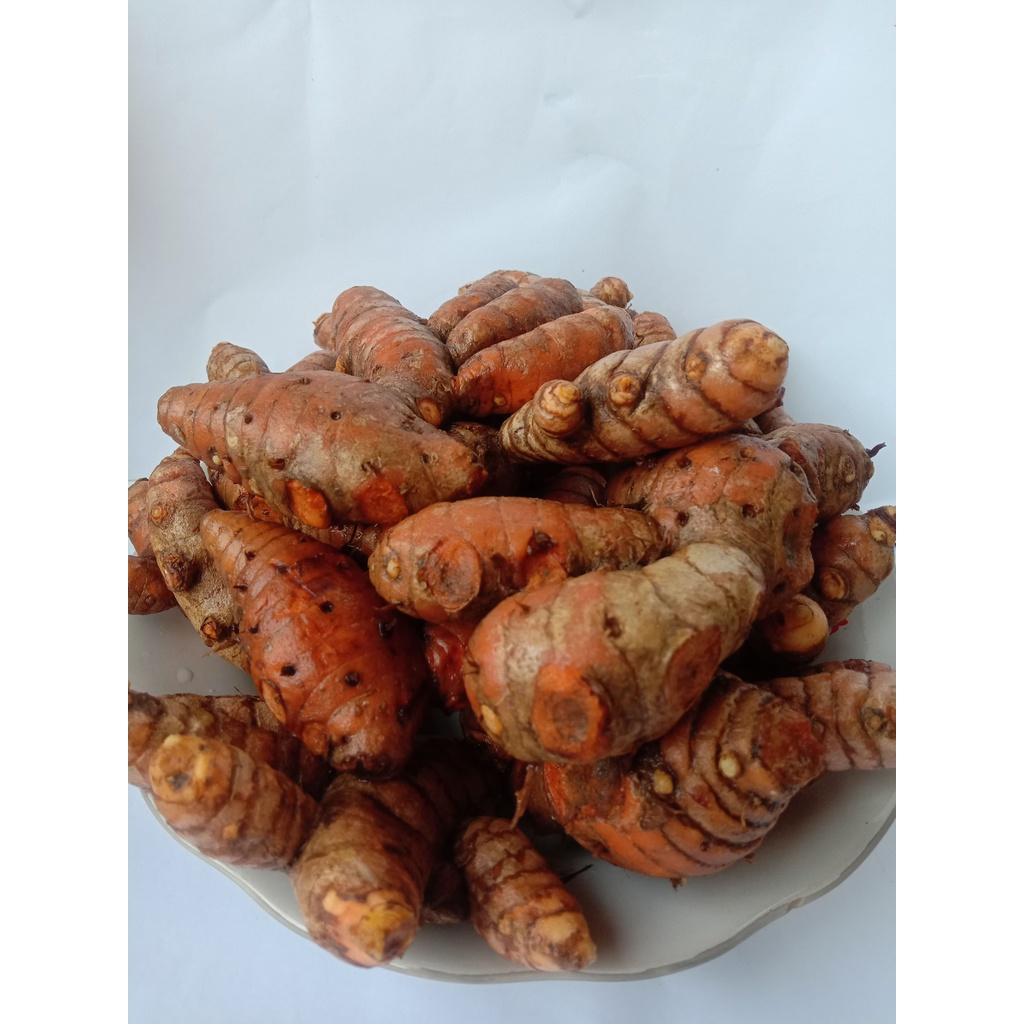 

KUNYIT SEGAR SUPER (empon-empon) ~ OMAH USODO~