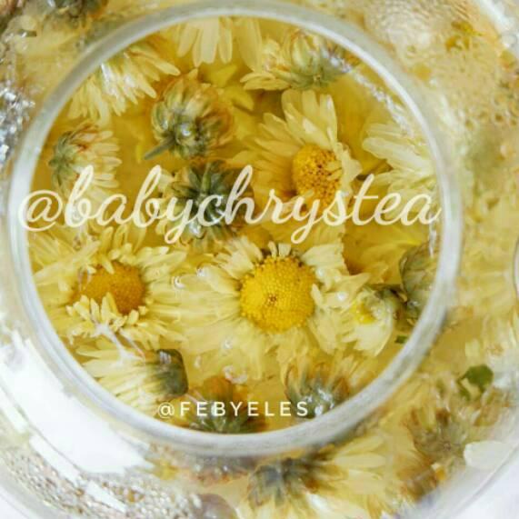 

✦ Chrysanthemum Tea ➷