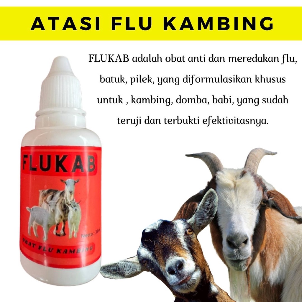 Obat Batuk Kambing - Obat Pilek Kambing - Obat Pneumonia Ternak Hewan FEZONE