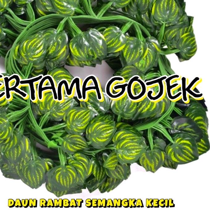 ➱ Harga Lusinan Rambat Kecil/ Daun Rambat Plastik/ Bunga Plastik/ Rumput Plastik/ Bunga Artificial/ 