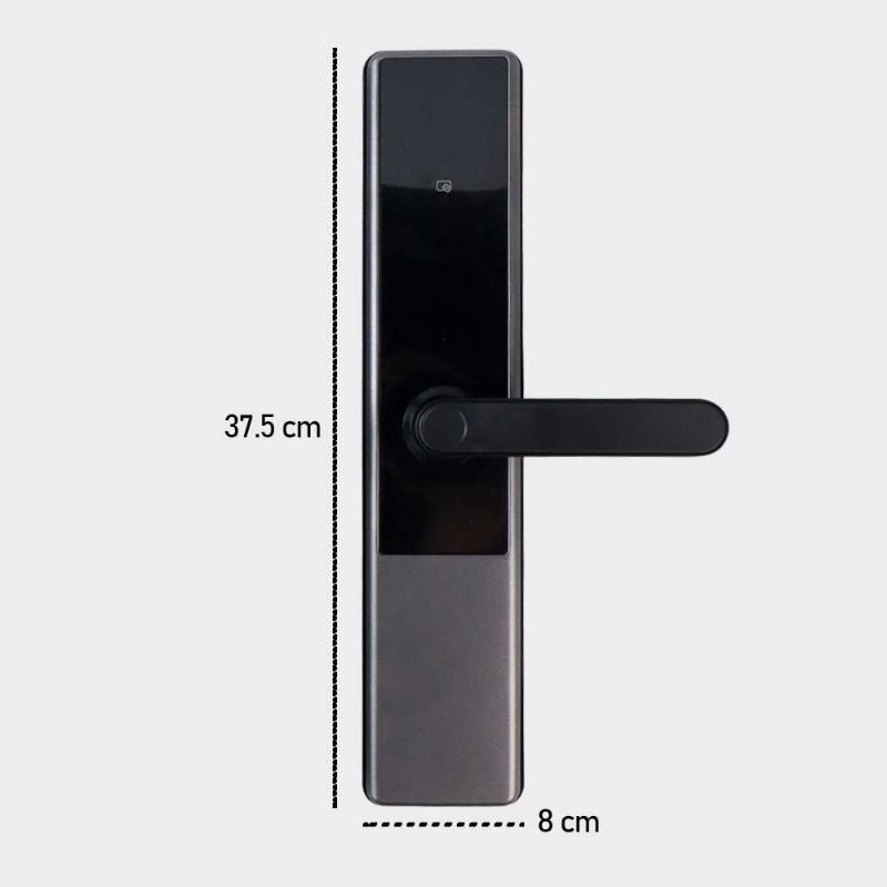 ALOEY Smart Door Lock Bluetooth Password Fingerprint Card TTLock - A2