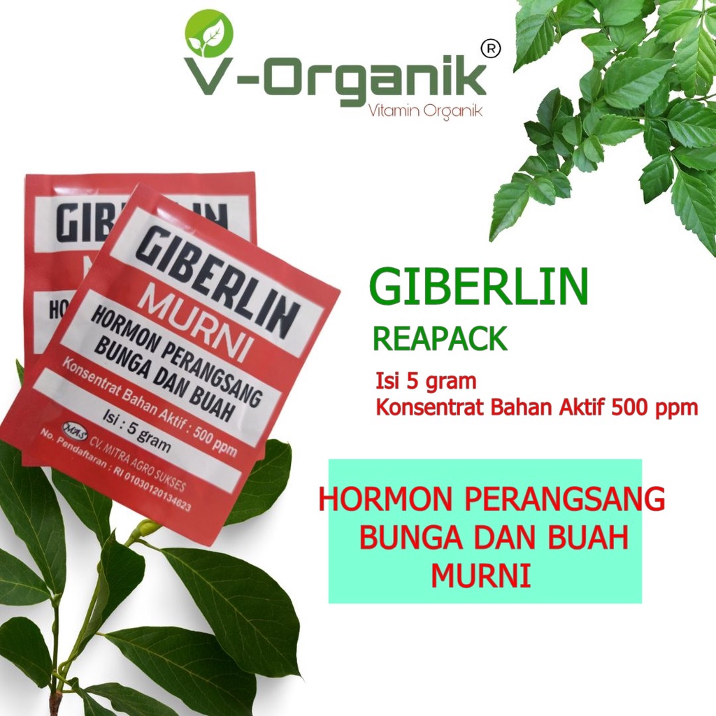 PUPUK PERANGSANG BUNGA DAN BUAH GIBERLIN REAPACK 5 GRAM