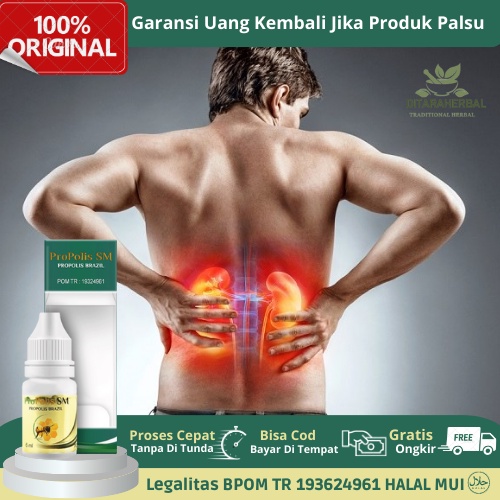 Obat Nyeri Ginjal, Obat Ginjal Bocor, Obat Kebocoran Ginjal, bat Kerusakan Pada Ginjal, Obat Ginjal 