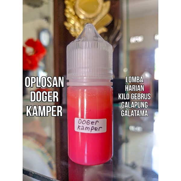 Essen ikan mas oplosan doger kamper