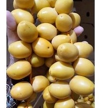 

TERMURAH DAN TERLARIS Kurma muda kuning, kurma muda pelangi, kurma muda merah dessi