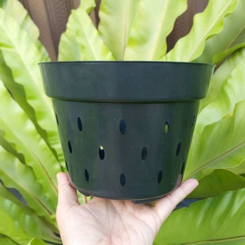 POT ANGGREK NKT BASIC 20 (18 cm) LUBANG BANYAK