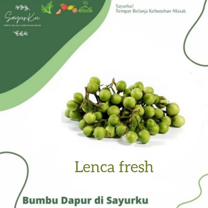 

lenca fresh