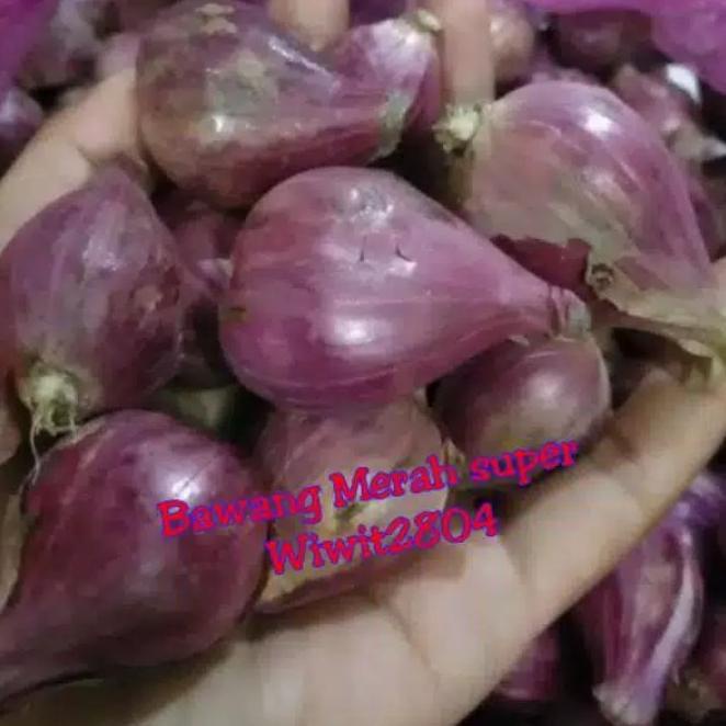 

Silahkan Belanja Bawang Merah Brebes Super besar 500g