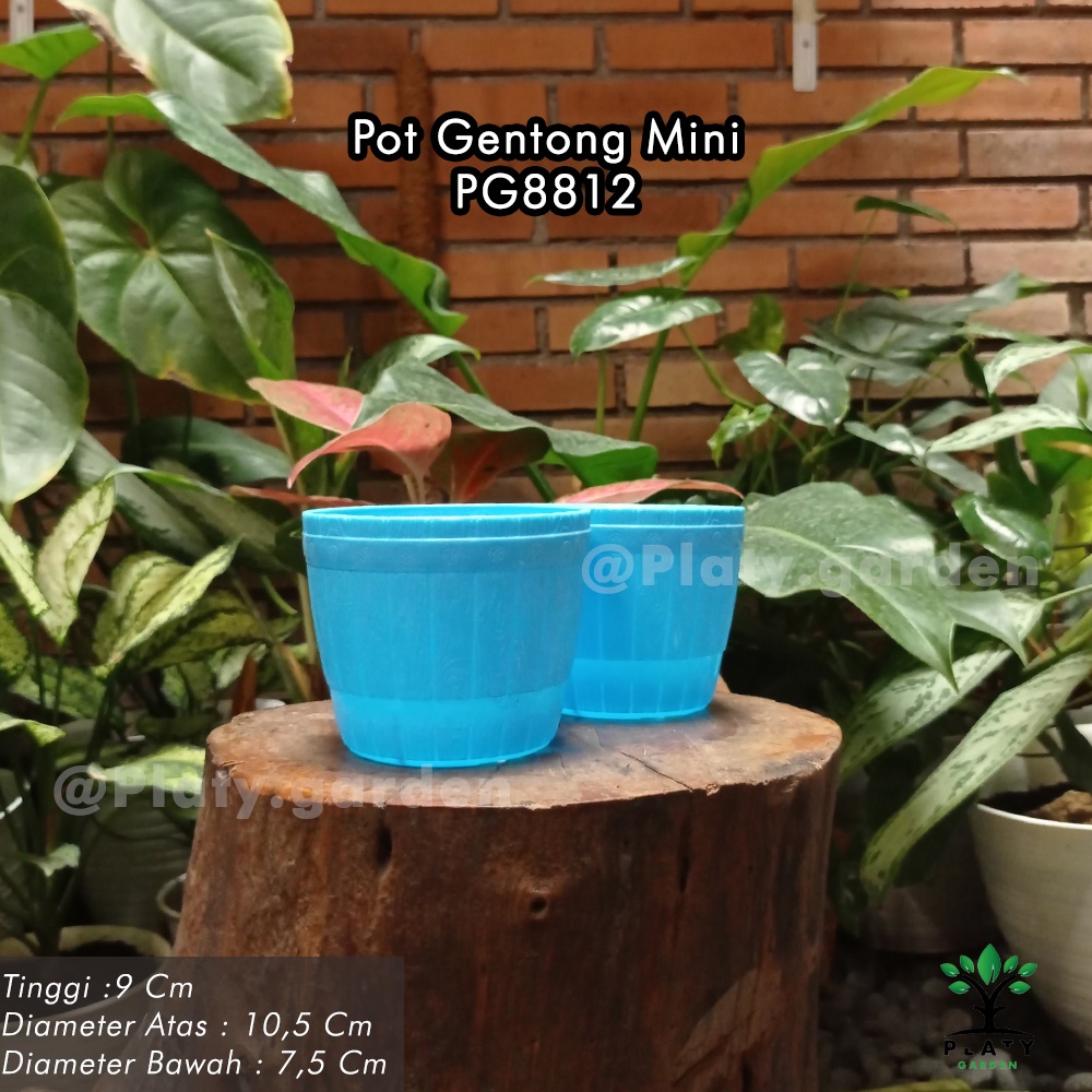 Pot Gentong Lovenia Mini - Gentong 12