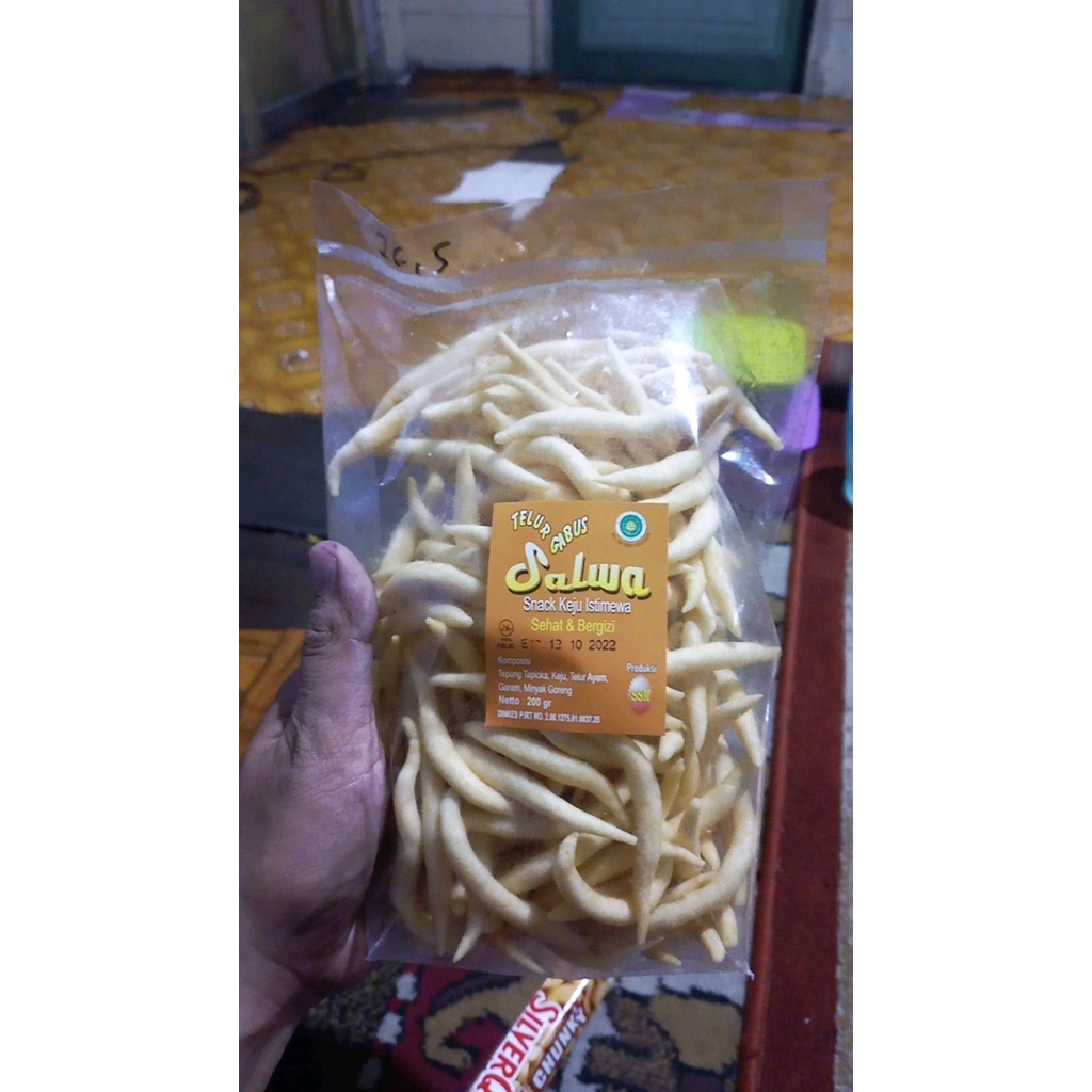 

TELUR GABUS SALWA