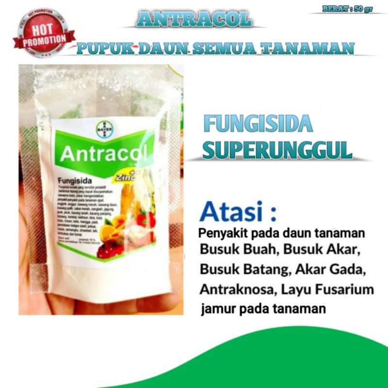 Fungisida Antracol Obat Anti Jamur Pada Tanaman - Antracol Fungisida Anti Jamur