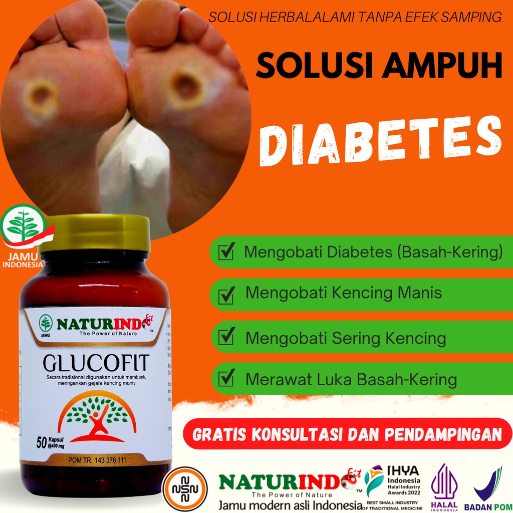 Obat diabetes paling ampuh herbal gula darah luka darah tinggi kecing manis diabet terbaik diabetes kering basah jamu Glucofit Naturindo