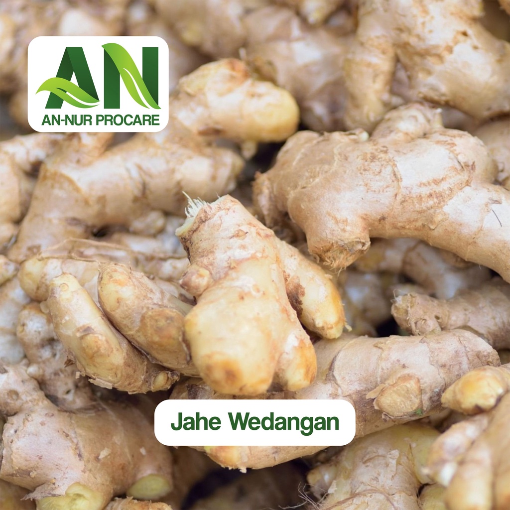 

Jahe segar/Jahe emprit/Jahe asli/Jahe wedangan