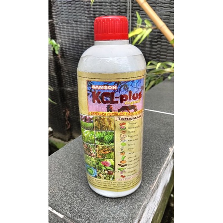 KCL Plus Cair 1Liter