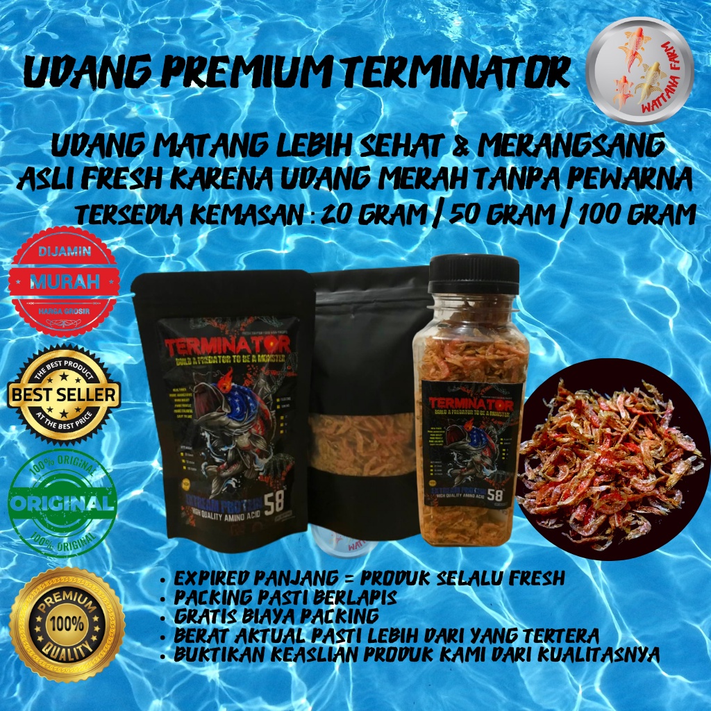 Udang Jumbo Premium Pakan Ikan Predator Premium Channa Cichlid Pbas Oscar RTC Aligator Arapaima Louh