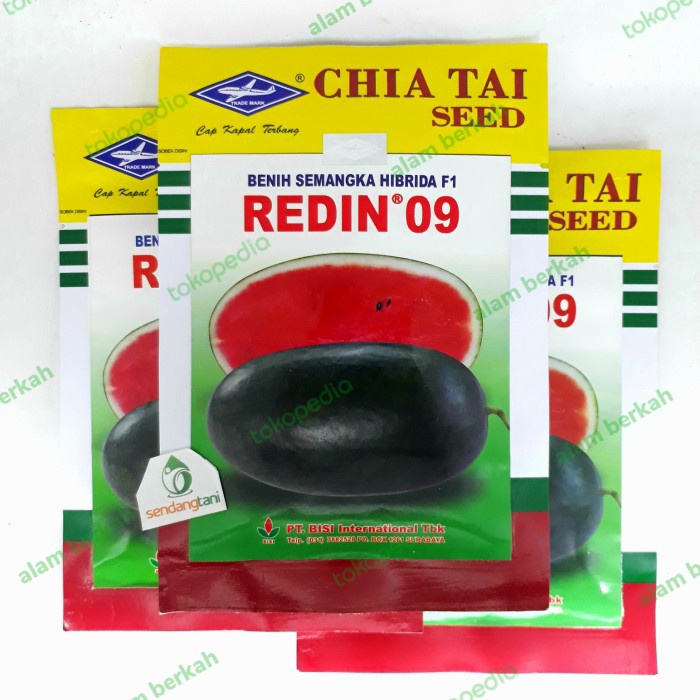 Benih Bibit Semangka Lonjong Inul REDIN 09 20 gr