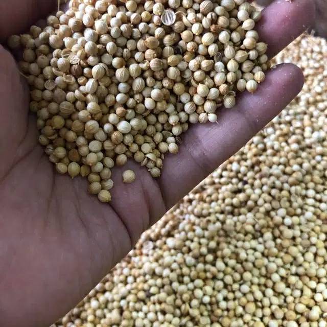 Ketumbar Putih (500 gram) / Coriander Seeds