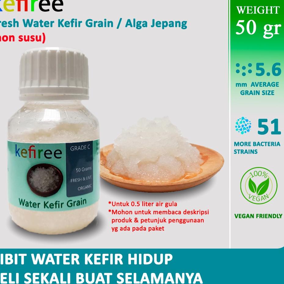 

Pasti Laku BIBIT WATER KEFIR HIDUP/WATER KEFIR GRAIN (FRESH) - KEFIREE (5O Gr)