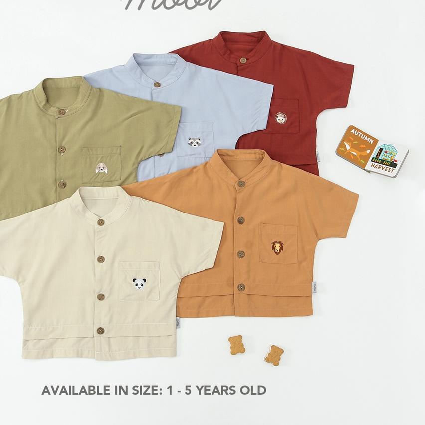 ℮ Mooi Kemeja Anak Laki-Laki Barra Shirt ℗