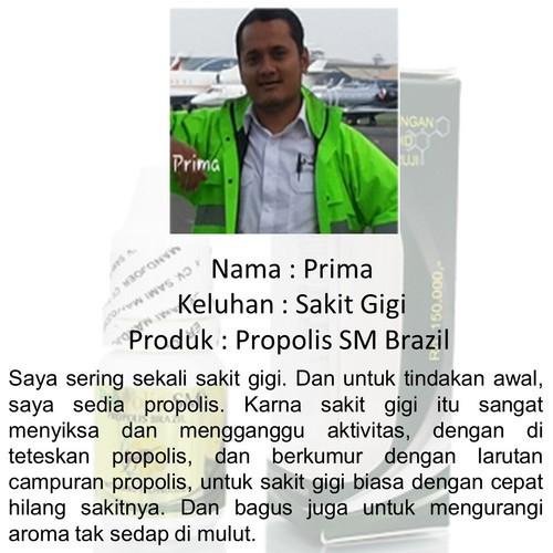 Obat Kumur Penghancur Gigi Berlubang, Perontok Karang Gigi-PROPOLIS SM