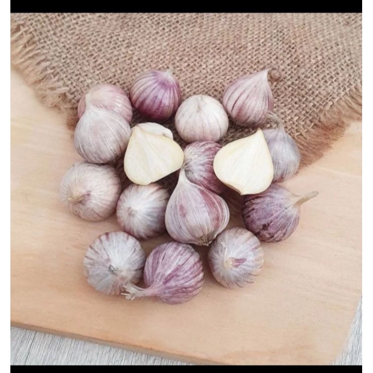 

Bawang Lanang tunggal 500gram UK TANGGUNG| bawang putih tunggal lanang 500gram