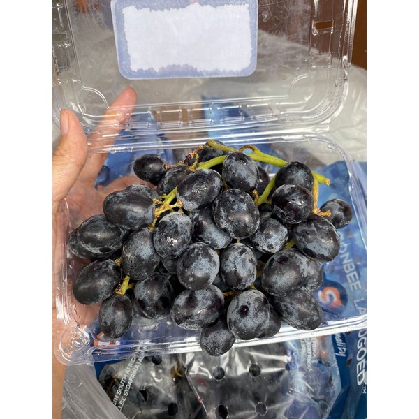 

Anggur black autumn seedless 500gr