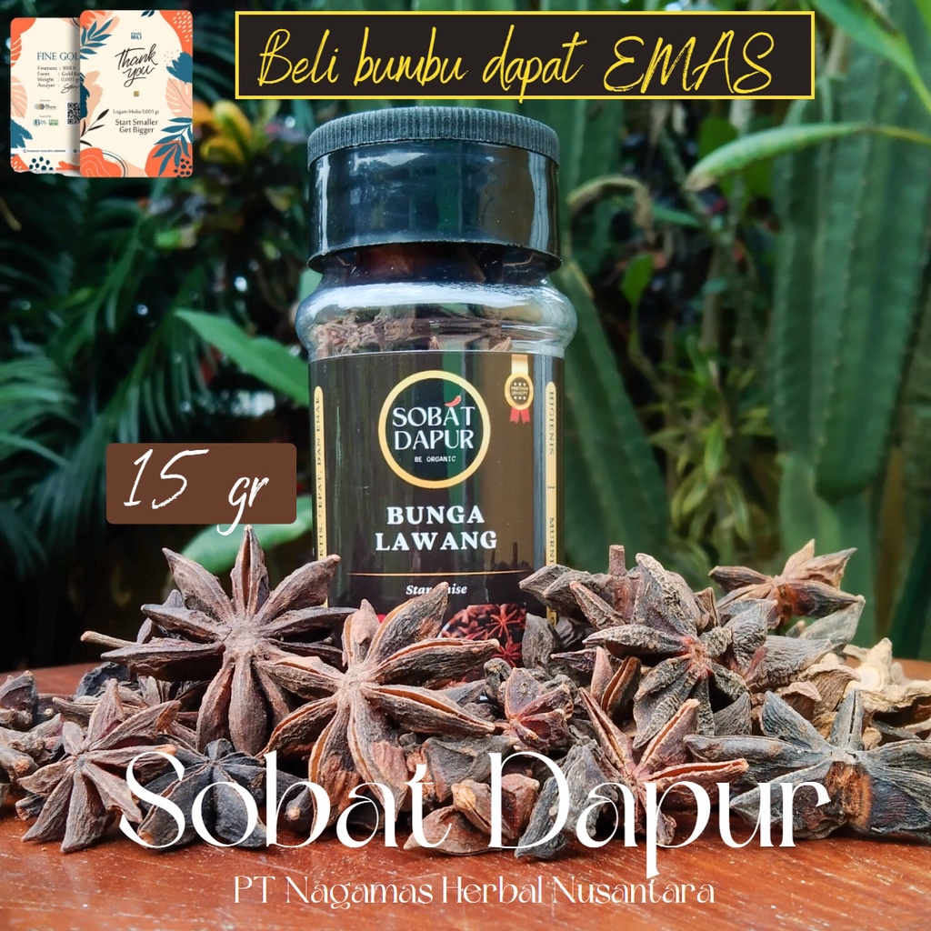 

[GRATIS EMAS] Bunga Lawang Simplisia 15 gr / Pekak / Star Anise / Illicium Verum 100% Murni Kualitas Premium Grade A