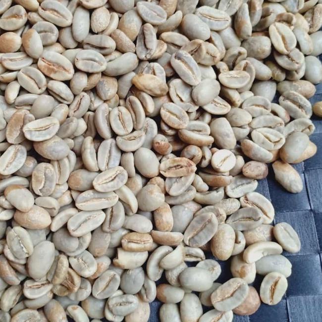 

♤ Green Bean Arabica Gayo Natural G1 ☏