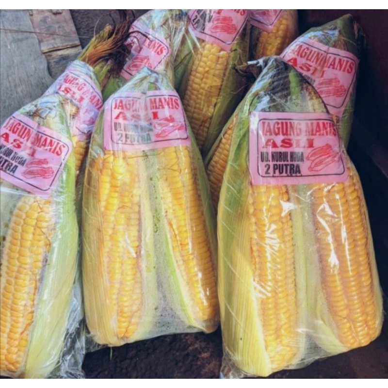 

Jagung manis segar