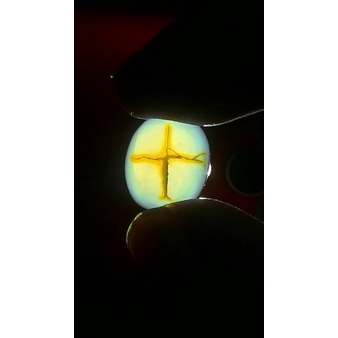 Batu Akik Tapak Jalak (Salib) 3s432