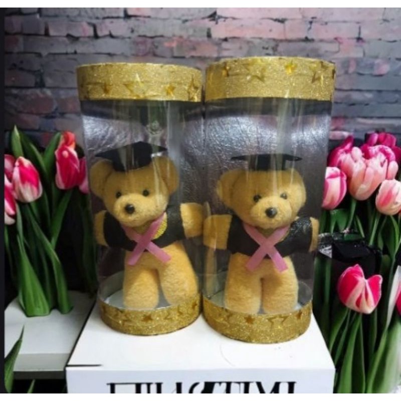 Piala Boneka Wisuda Trophy Boneka Wisuda
Hadiah Wisuda Murah