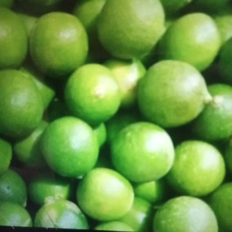 

jeruk nipis lokal 200 gr