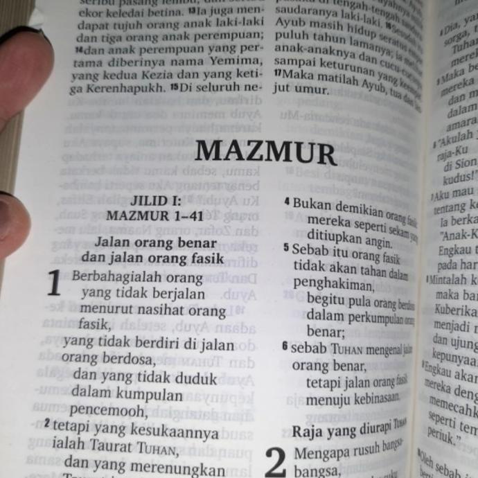 Baru Alkitab Edisi Huruf Besar, Khusus Lansia