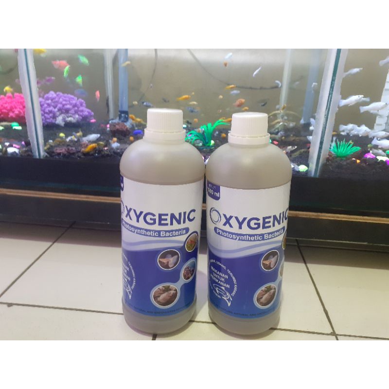 bacteria oxigenic bakteri cair 1000ml/oxygenic 1liter