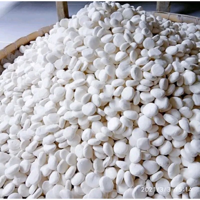 

ragi tape 50 butir anti gagal