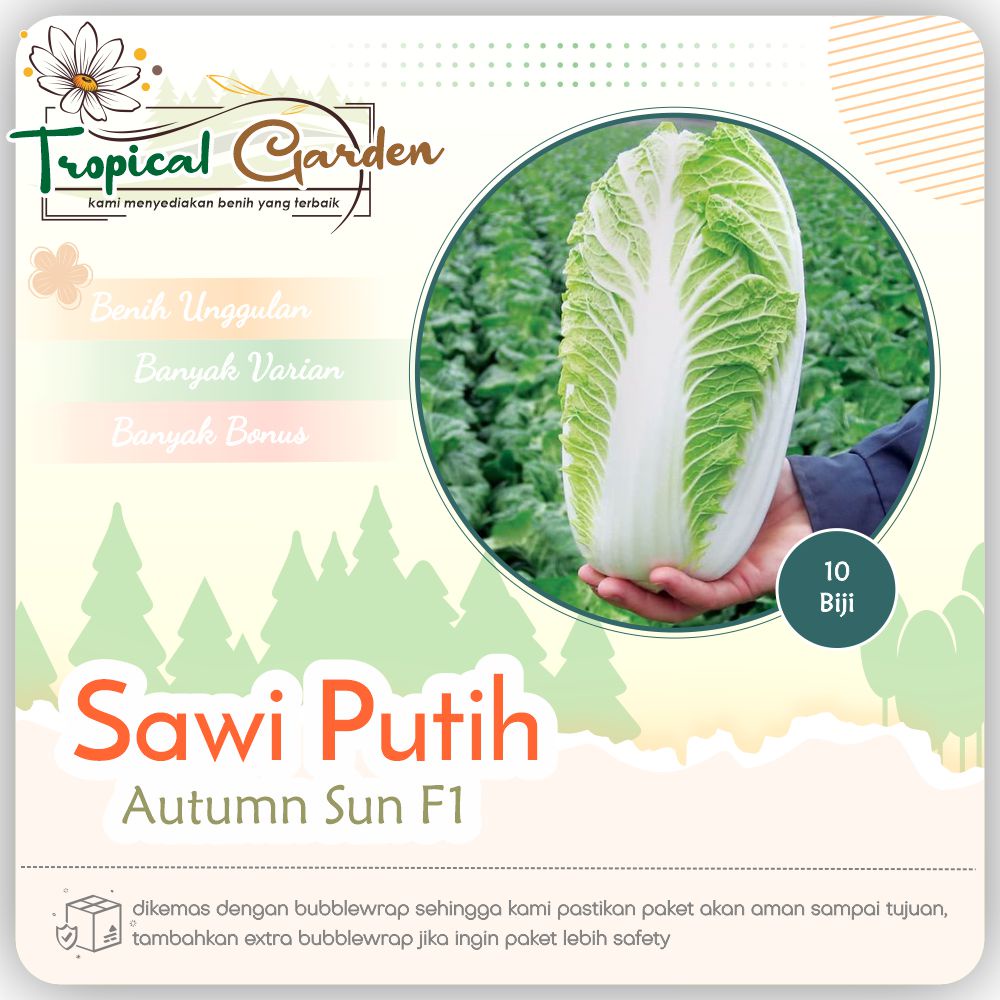 ✿ Tropical Garden ✿ Benih Biji Sawi Putih Bibit Sawi Putih Chinese Cabbage COD ✅