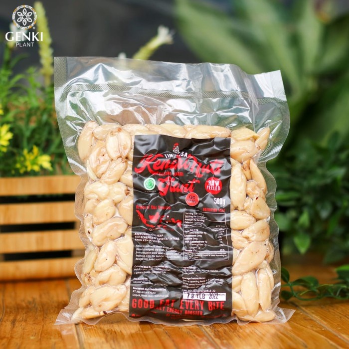 

Timurasa Giant Kenari Nuts Raw / Kacang Kenari Mentah - 500 g