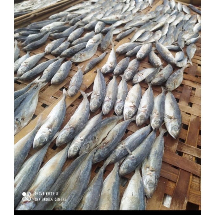 

ikan asin#ikan asin peda layang
