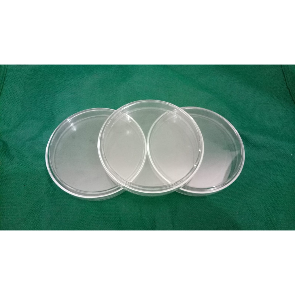 CAWAN PETRI/TELEPA PETRIDISH ANUMBRA